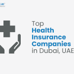 Top UAE Insurance Companies for Protecting Life and Businesses