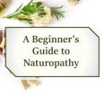 A Comprehensive Guide to Becoming a Naturopathic Doctor
