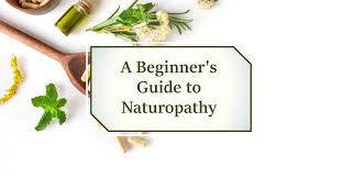 A Comprehensive Guide to Becoming a Naturopathic Doctor