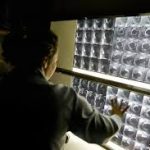 Pioneering Healthcare Excellence in Brazil