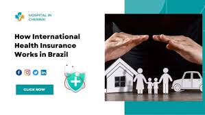 The Cost of Health Insurance for Single Individuals in Brazil