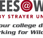 Does Strayer University Have an Online Social Work Degree?