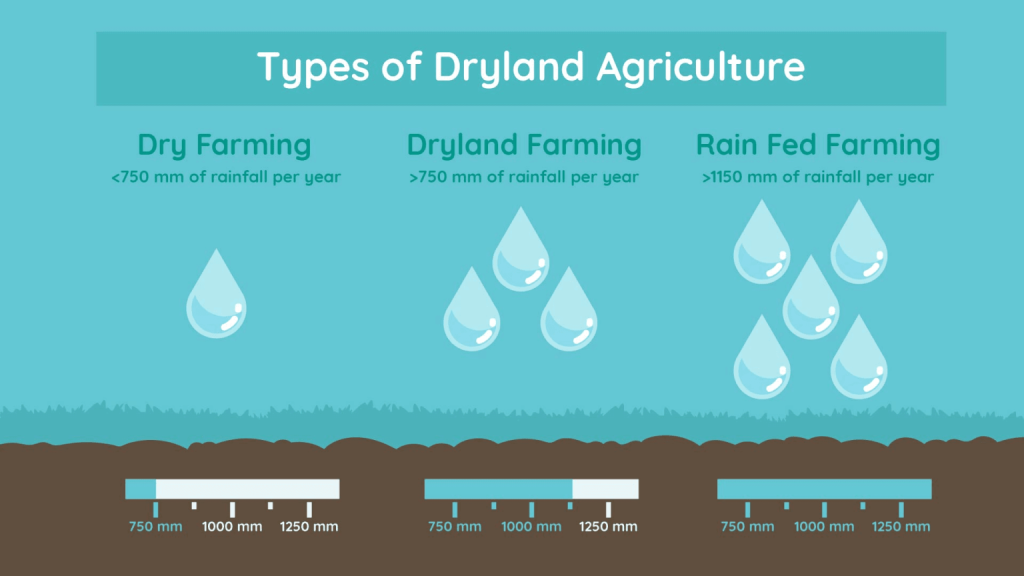 What is Dryland Farming – Know Everything