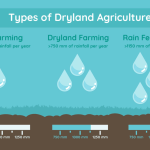 What is Dryland Farming – Know Everything