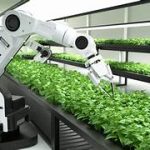 AI Applications in Sustainable Agriculture: A Comprehensive Guide