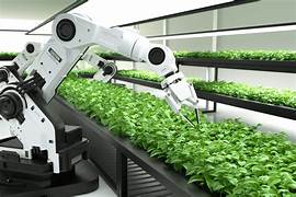 AI Applications in Sustainable Agriculture: A Comprehensive Guide