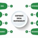 Investigating Corporate Social Responsibility in Multinational Institutions