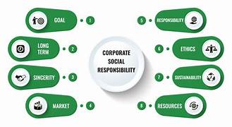 Investigating Corporate Social Responsibility in Multinational Institutions
