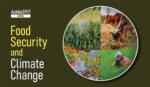 Climate Change and Food Systems: A Multidimensional Sustainability Approach