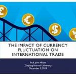 Exploring the Effects of Exchange Rate Fluctuations on International Trade