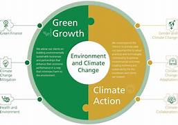 Environmental Policy Initiatives and Their Implications on Global Climate Change
