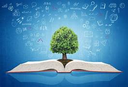 Education for Climate Change: Incorporating Sustainability in Curricula