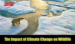 Implications of Climate Change for Wildlife: Extinction and Adaptation