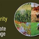 Investigation Into Climate Change and Its Effects on Agriculture and Food Security