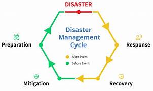 The Use of AI in Disaster Management and Response