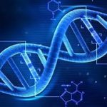 Molecular Computing: An Alternative to Silicon-Based Computers