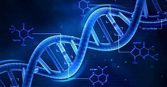 Molecular Computing: An Alternative to Silicon-Based Computers