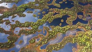 Climate Change and Biodiversity: A Tale of Loss and Survival