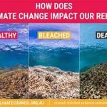 Climate Change’s Impacts on the World’s Coral Reefs