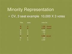 The Evolution of Minority Representation in Congress