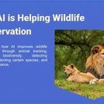 Tech Solutions for Wildlife Conservation