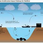 How Does Climate Change Influence the Seasons and Agricultural Cycles?