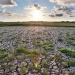 Effects of Climate Change on Agricultural Productivity