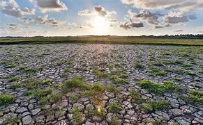 Effects of Climate Change on Agricultural Productivity