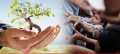 Microfinance Models for Poverty Reduction in Developing Countries