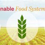 Sustainable Agriculture: Innovations for Food Security