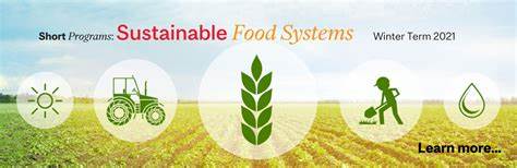 Sustainable Agriculture: Innovations for Food Security