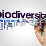 Effects of Climate Change on Global Biodiversity