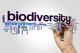 Effects of Climate Change on Global Biodiversity
