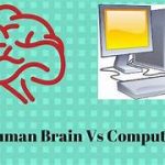 Comparing Human Brain Function and How Computers Work
