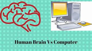 Comparing Human Brain Function and How Computers Work