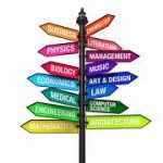 What Makes a Student More Likely to Choose a Subject: Passion or Industry Stability?