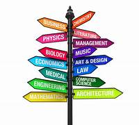 What Makes a Student More Likely to Choose a Subject: Passion or Industry Stability?