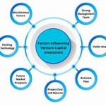 Assessing the Capital Management and Investment Choices of Apple Inc.