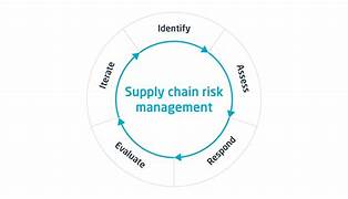 Exploring the Three Best Strategies for Tackling Risks in Business Supply Chain Management
