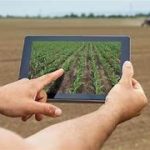 AI in Agricultural Technology: Optimizing Crop Yield Predictions