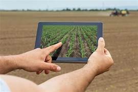 AI in Agricultural Technology: Optimizing Crop Yield Predictions